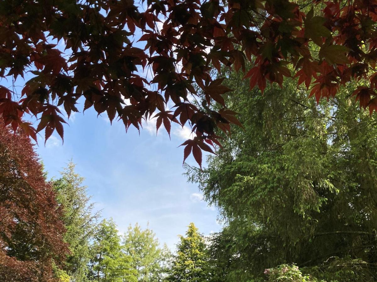 블래어고리 Heathpark House B&B 외부 사진