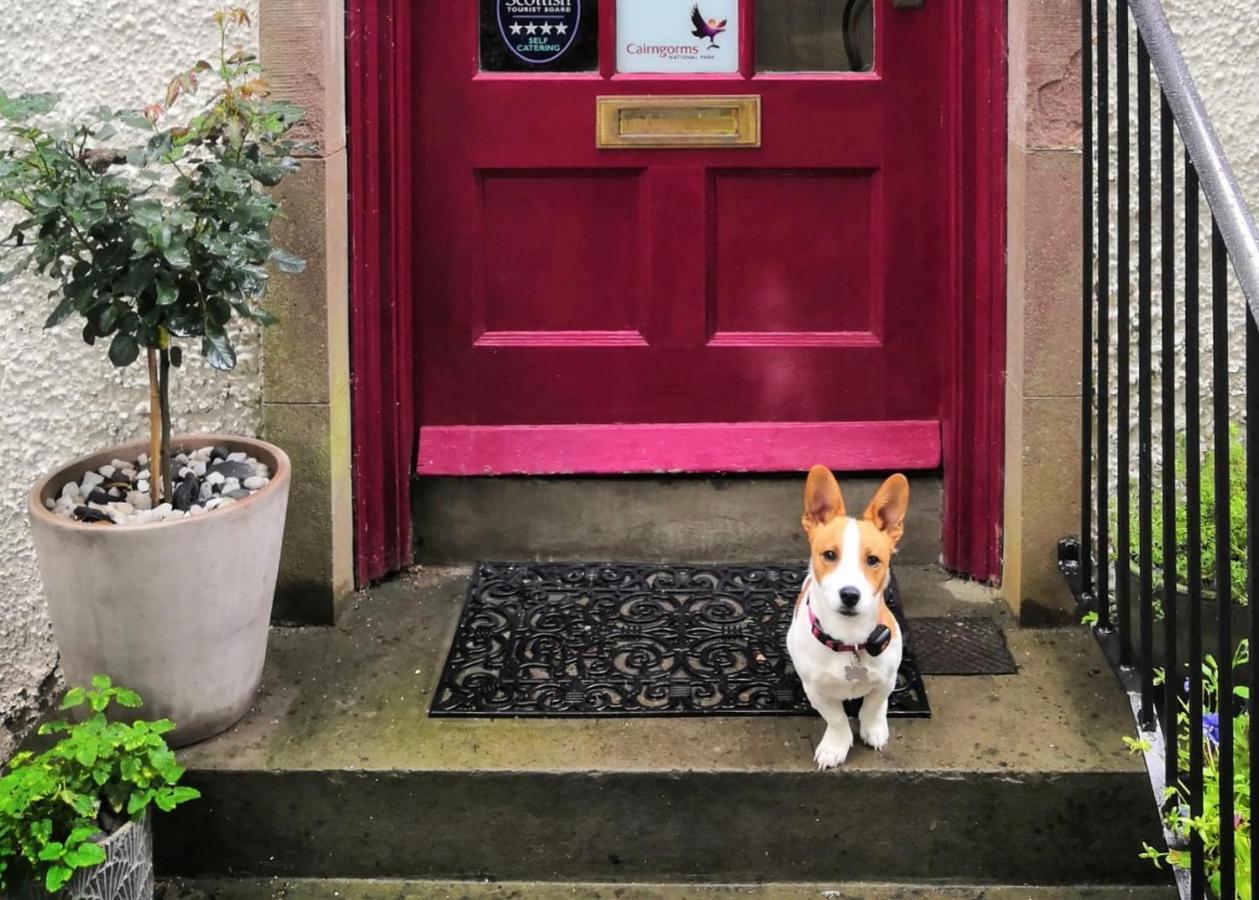 블래어고리 Heathpark House B&B 외부 사진